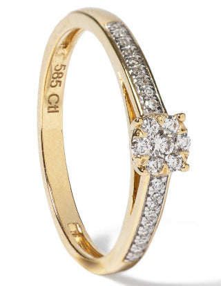 Anillo Polaris