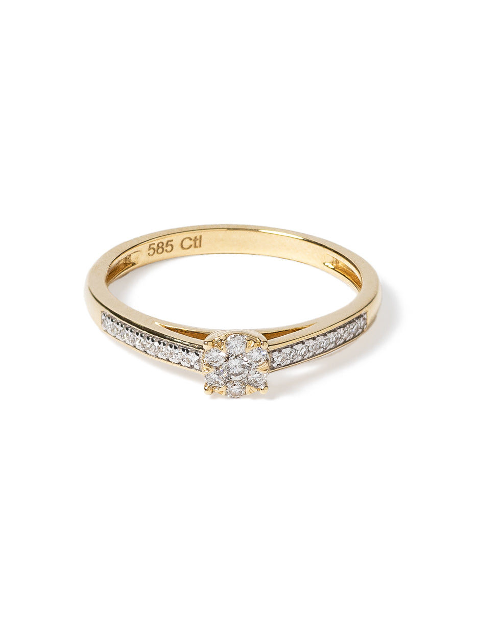 Anillo Polaris